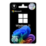 Windows 11 Professional OEM