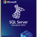 SQL Server 2022 Standard – Digital Software License