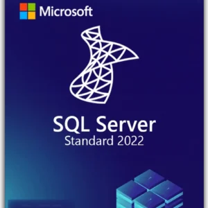 SQL Server 2022 Standard - Digital Software License