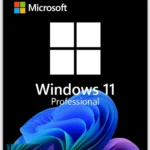 Windows 11 Professional OEM – Digital Software License
